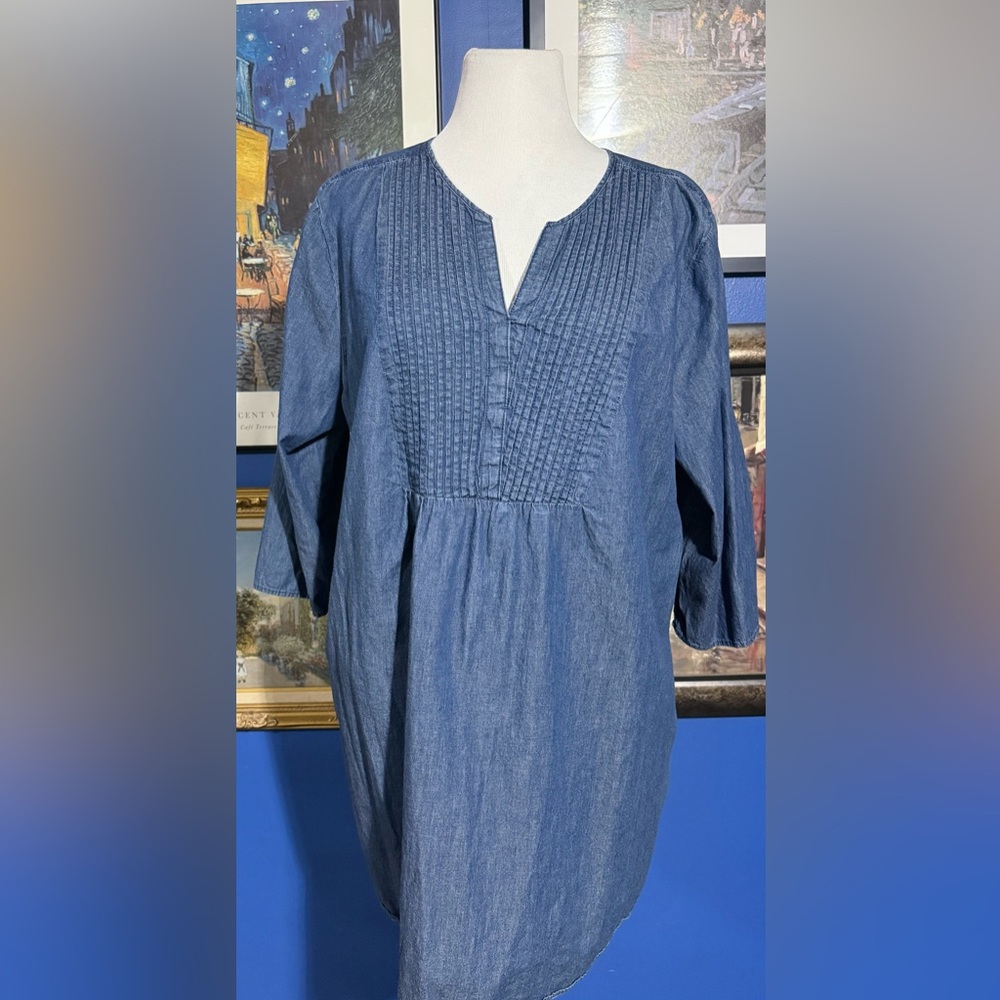 Woman Within Blue Tunic Top